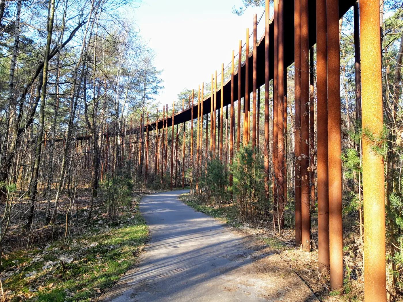 Fietspad Fietsen door de Bomen in Bosland